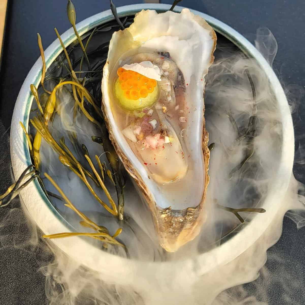 414360849_2464657303726457_173011449517100139_n